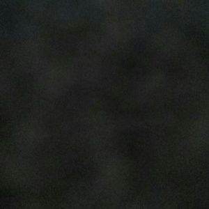 Meet your Posher, Solomon