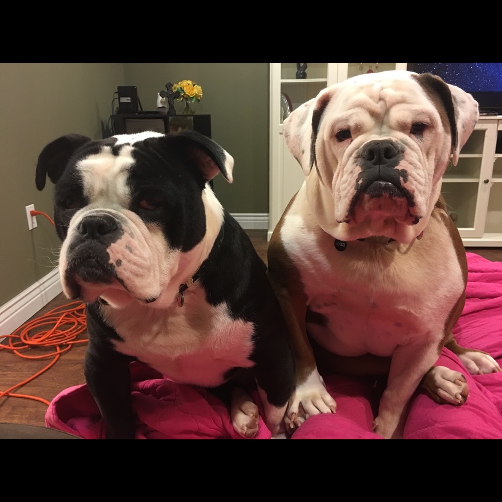 Meet your Posher, Linnette