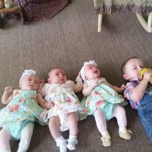 Meet your Posher, Terry