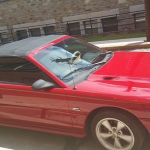 Meet your Posher, Mike