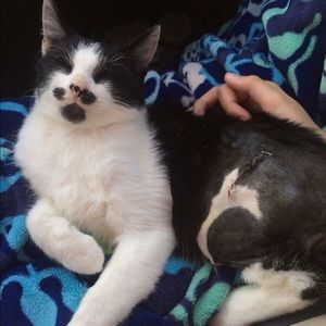 Meet your Posher, Lily