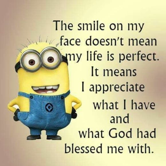 Meet your Posher, Romy - Picture 1 of 1