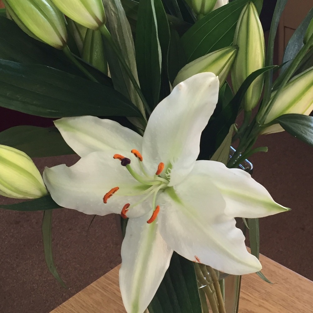 Meet your Posher, Stacey