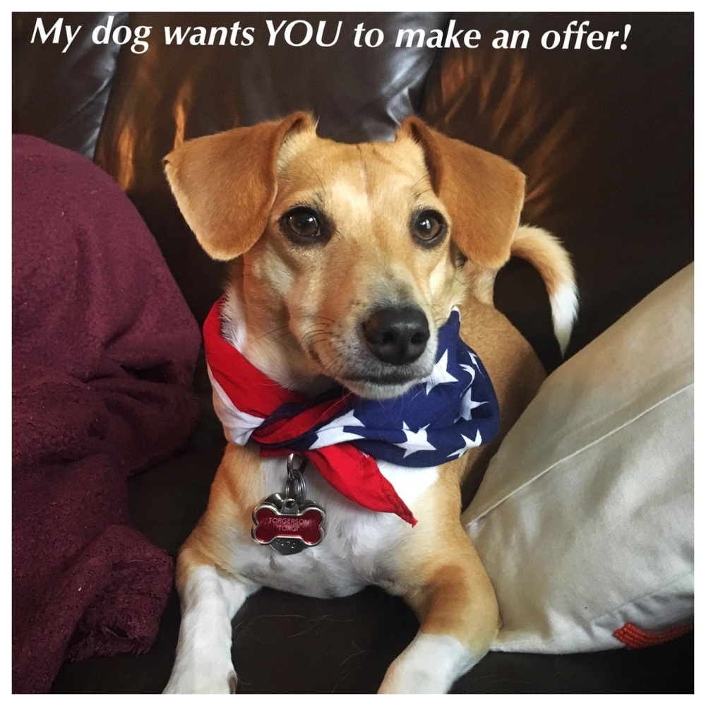 All offers considered; all reasonable accepted!