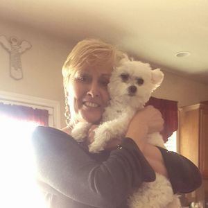 Meet your Posher, Sascha