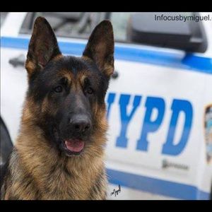 Meet your Posher, Colleen