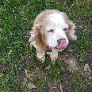 Meet your Posher, Lori