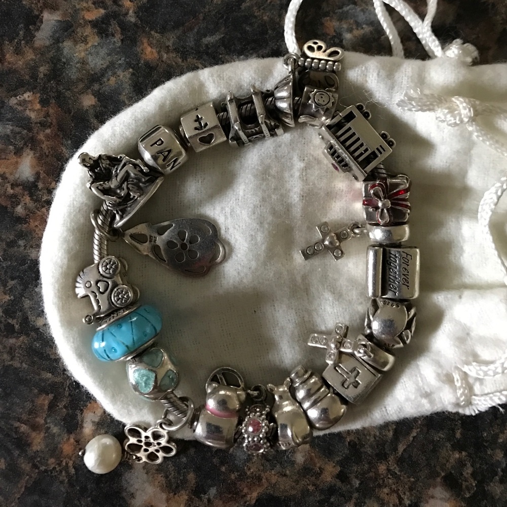 Pandora bracket & 21 charms!