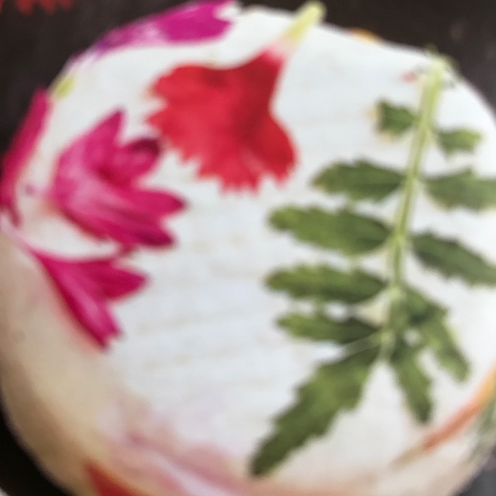 Meet your Posher, Shana