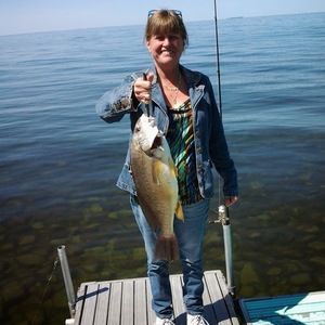 Meet your Posher, Cindy