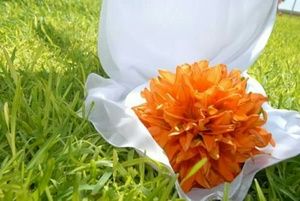 Meet your Posher, Cathy