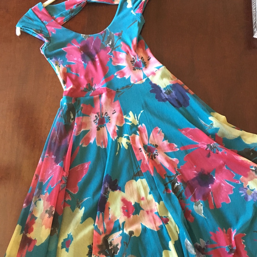 Anthropologie dress. (Weston wear).