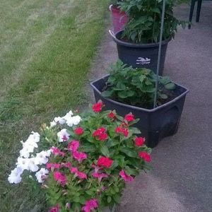 Meet your Posher, Joan