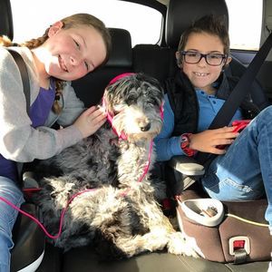 Meet your Posher, Tyler