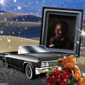 Meet your Posher, Anetta