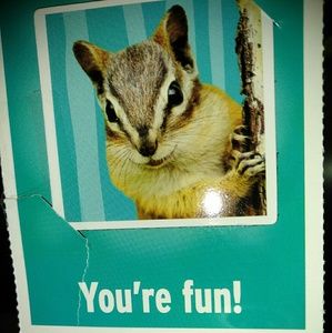 Make me an offer 10% on bundle of 2 item