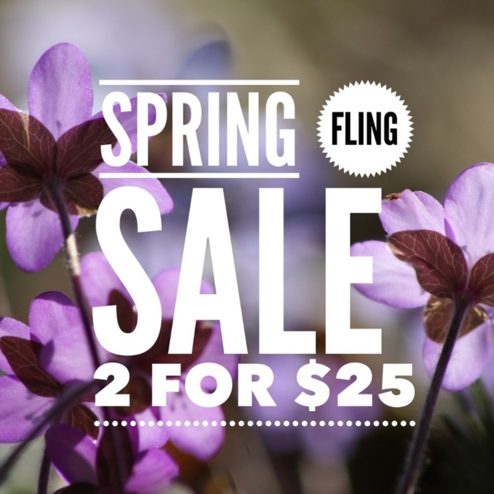 🚨2️⃣ FOR $$2️⃣5️⃣🚨 Spring Sale 💋