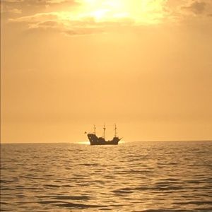 Meet your Posher, Jack