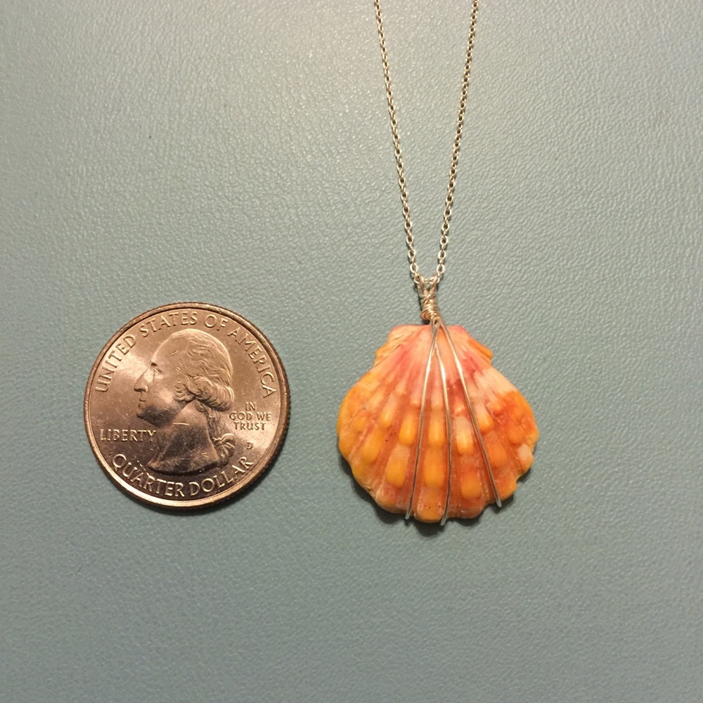 Hawaiian Sunrise Shell Pendant with 18" SS Chain