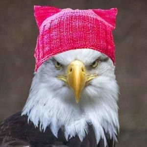 Meet your Posher, Geraldine