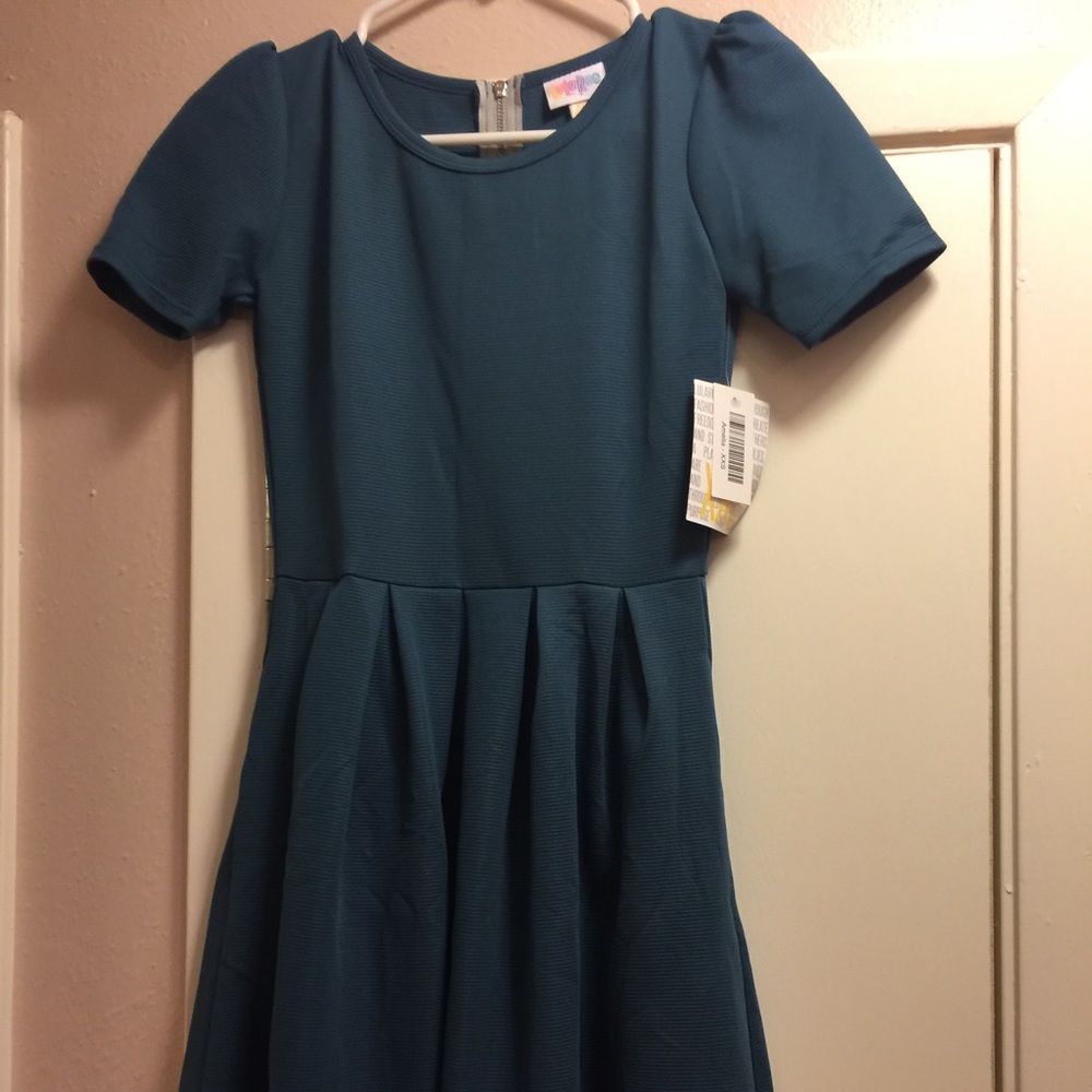 Lularoe Amelia bnwt xxs