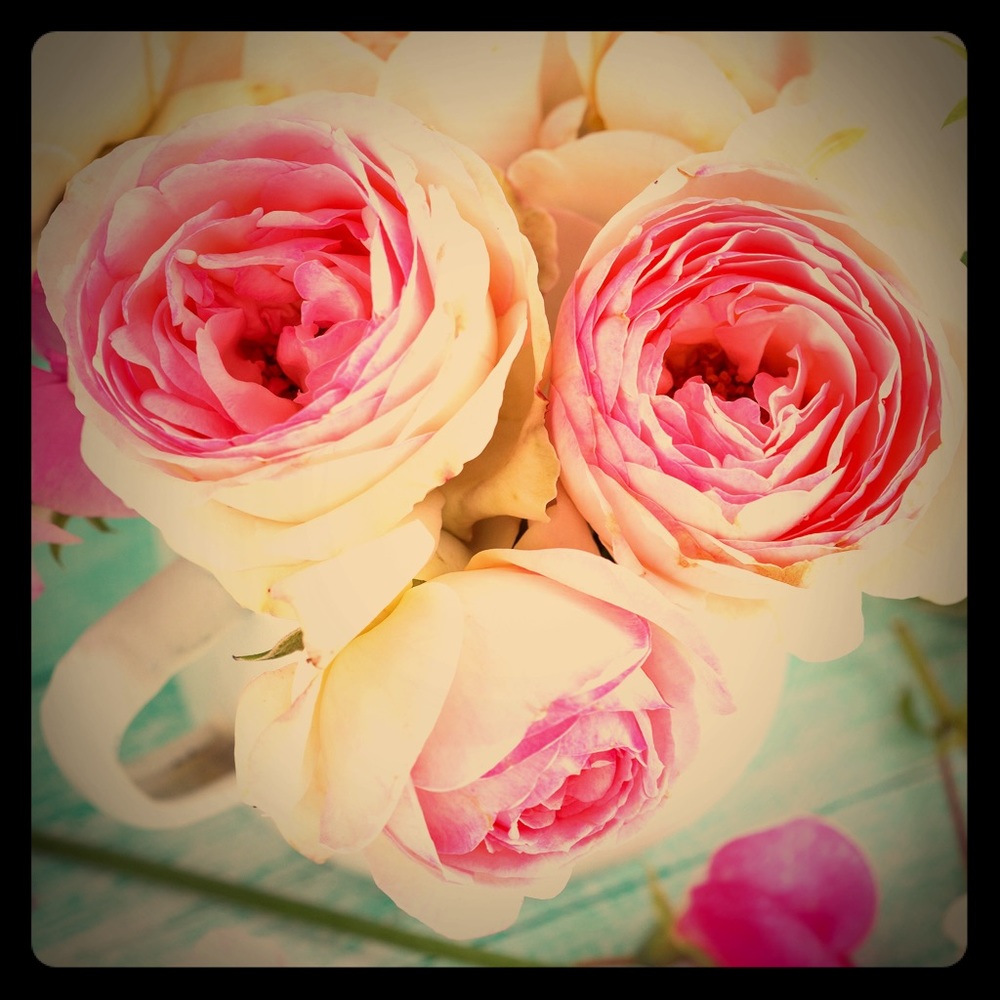 Meet your Posher, Monica