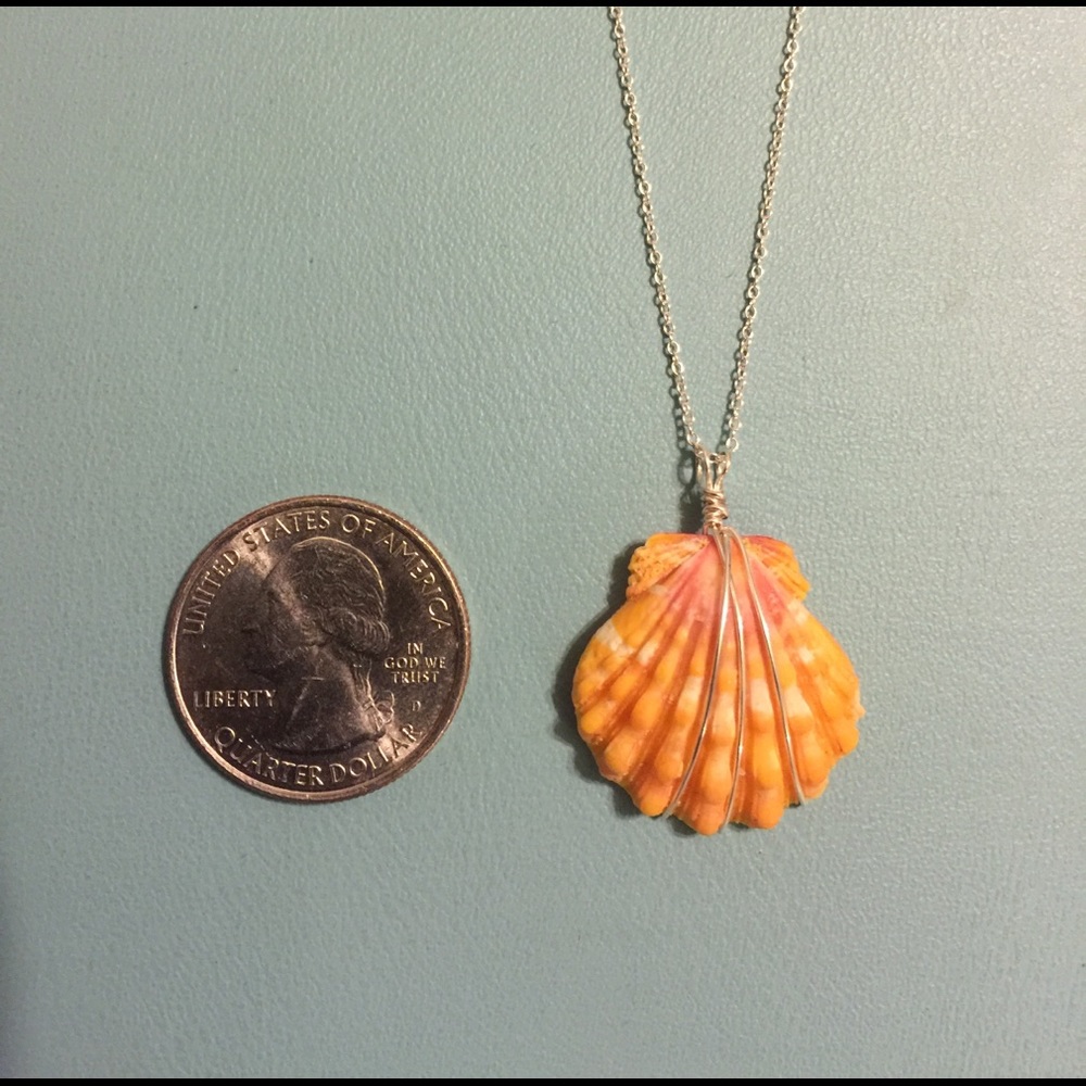 Hawaiian Sunrise Shell Pendant with 18" SS Chain
