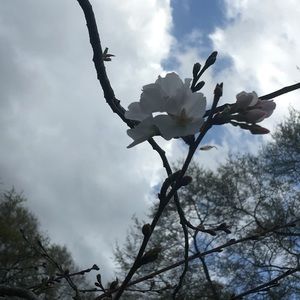 Meet your Posher, Shana