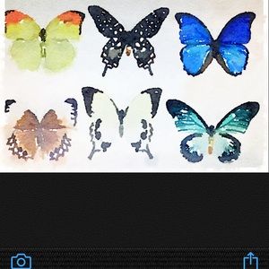 Meet your Posher, Noel