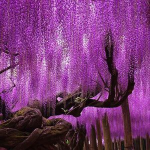 Meet your Posher, Misty