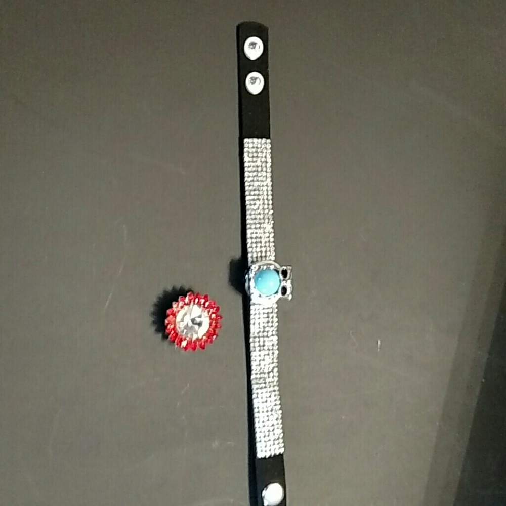 Interchageble snap bracelet