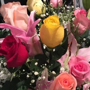 Meet your Posher, Elizabeth