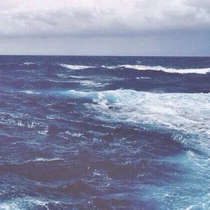 Meet your Posher, Michaela