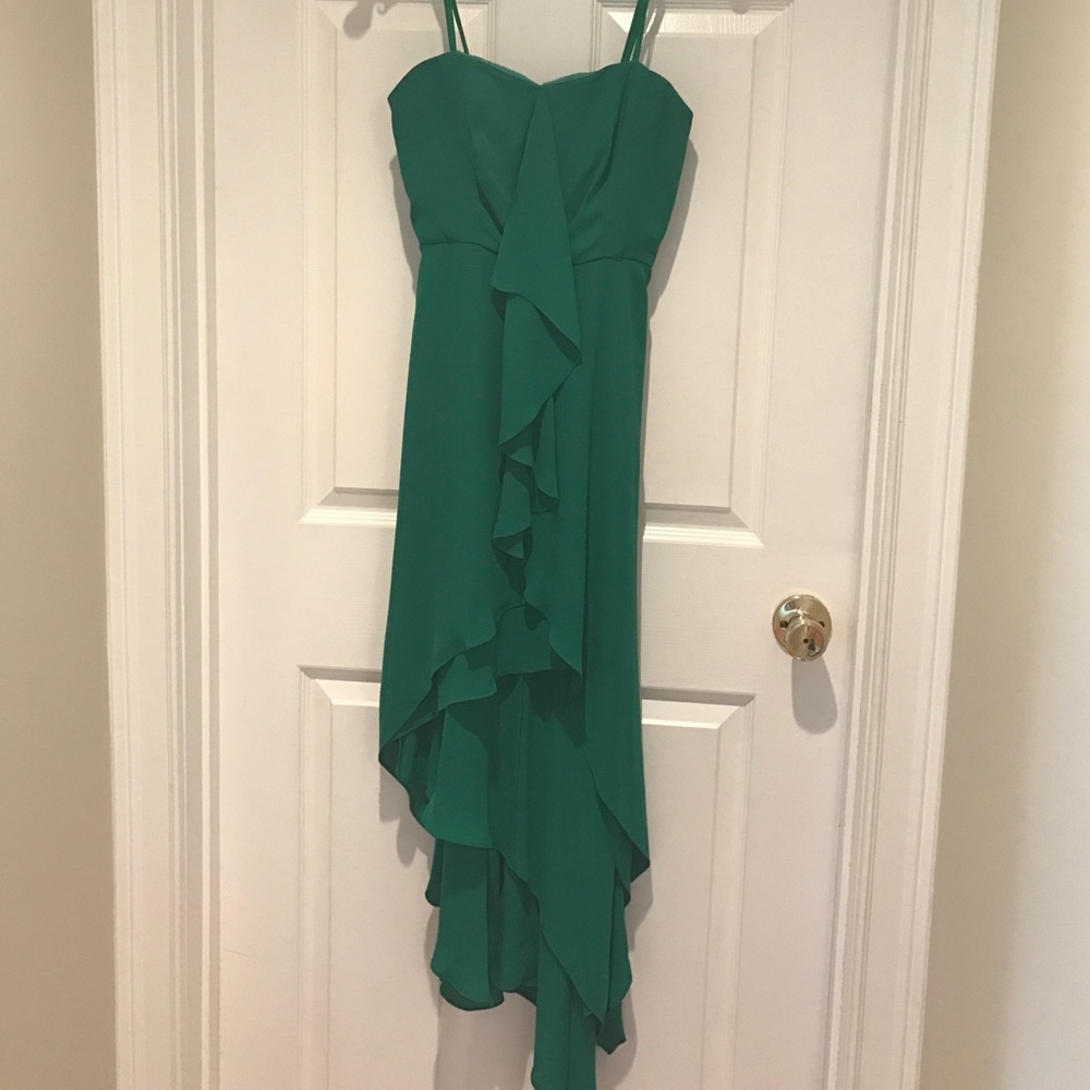 BCBG Maxazria “The Serafina" dress