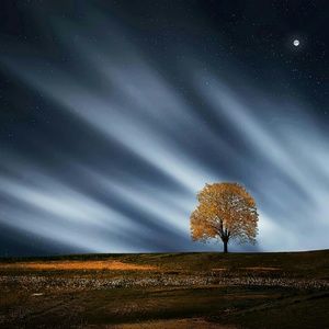 Meet your Posher, Lee