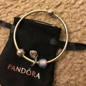 Pandora Charms and pandora bracelet