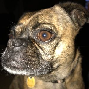 Meet your Posher, Ronda