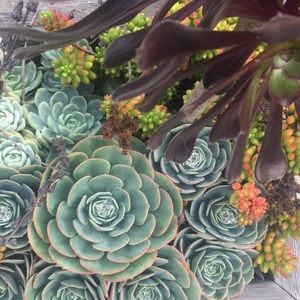 Meet your Posher, Katy