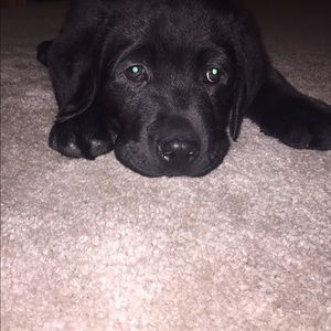 Meet your Posher, Marissa