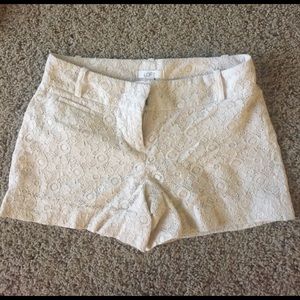 Loft lace shorts