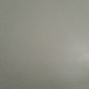 Meet your Posher, Nellie