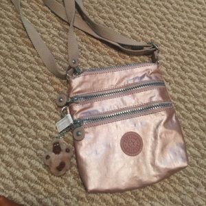 Kipling Purse