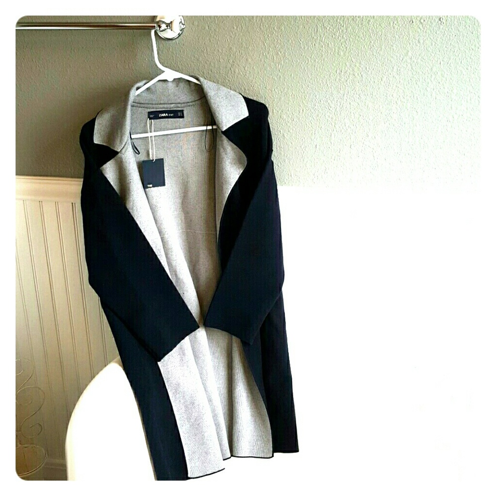 NWT GORGEOUS Zara Knit Sweater!