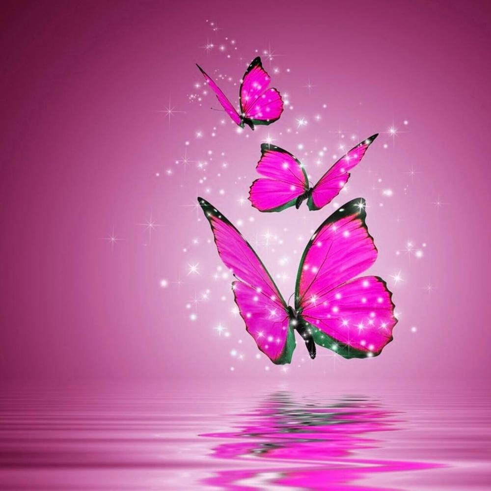 Meet your Posher, Jada