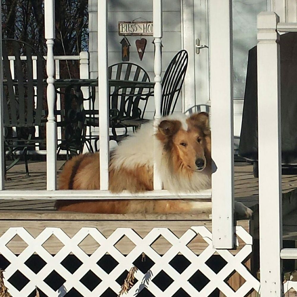 Meet your Posher, Mallory