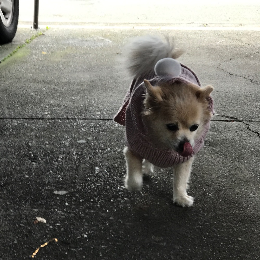 ***NOT for sale***🖖🏾