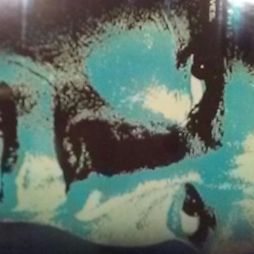 Meet your Posher, Aurelio