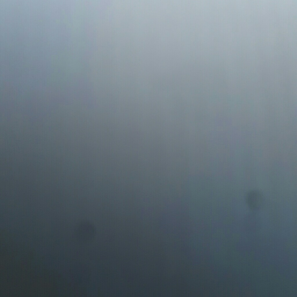 Meet your Posher, Mos