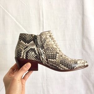 Sam Edelman petty python snake print booties 6