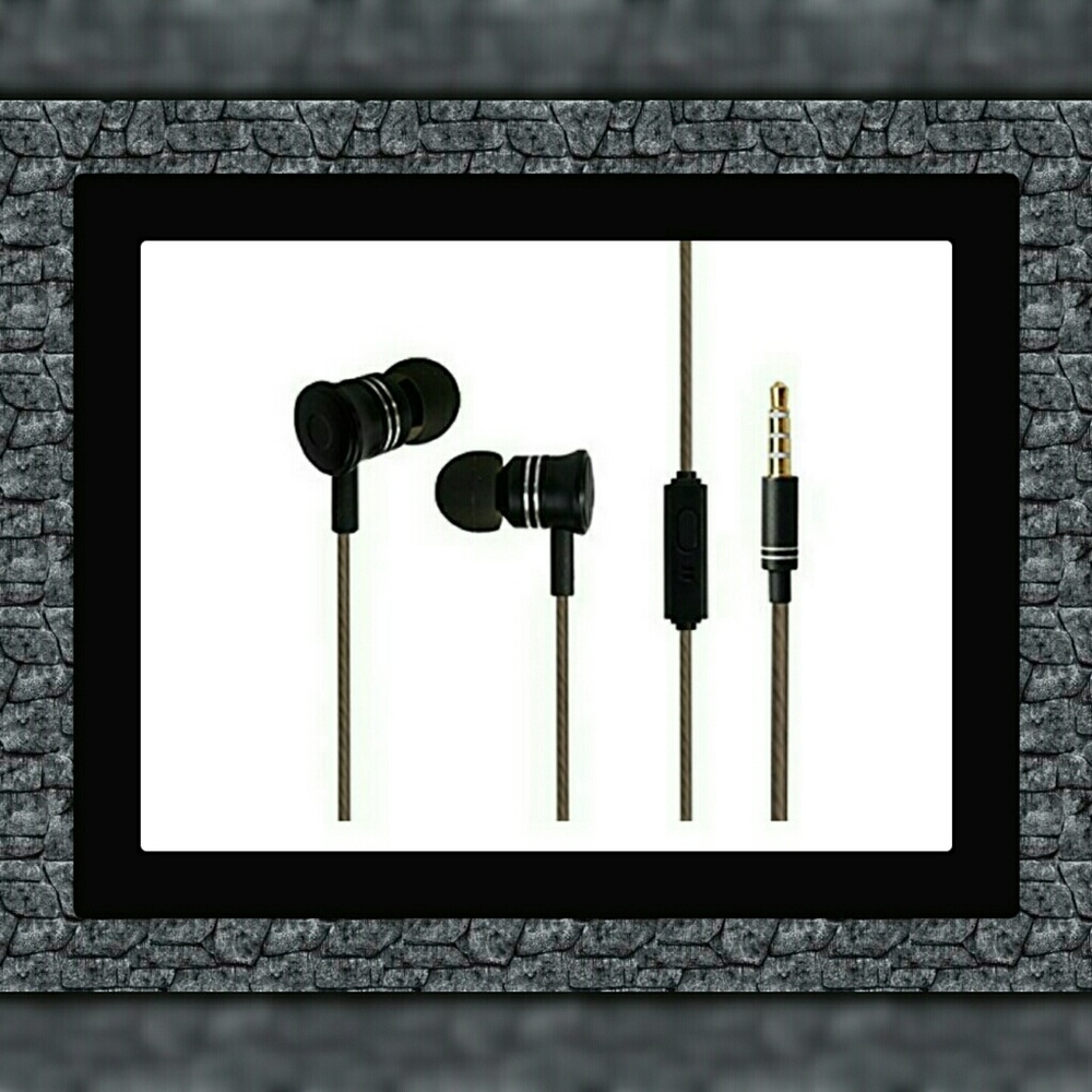 In-Ear 3.5mm Stereo Headphones w/Microphone & Case